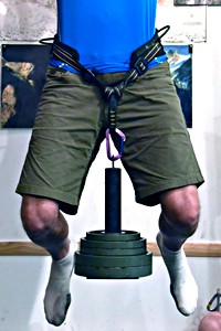 Hanging weight plates from harness via Rogue loading pin.
